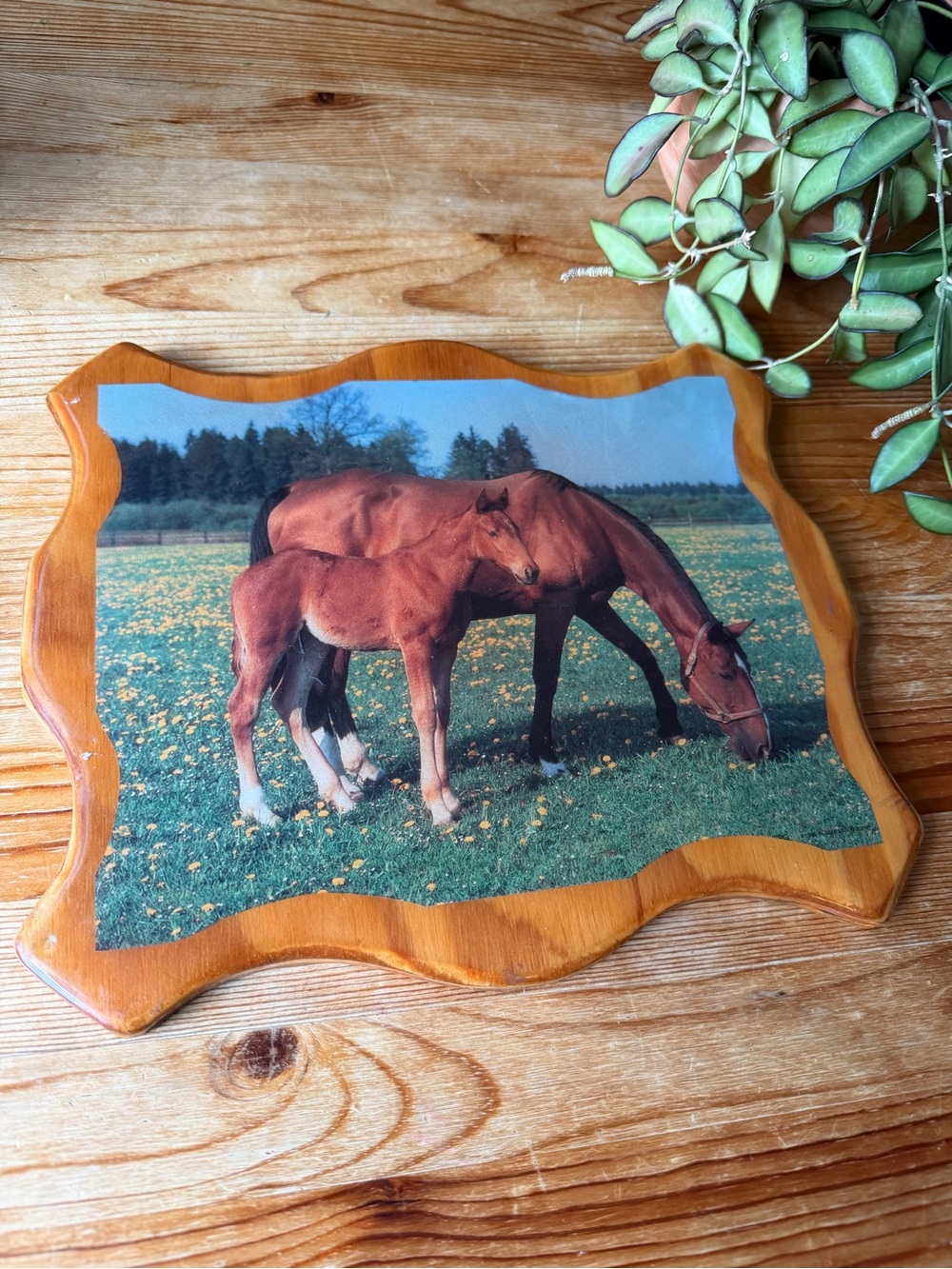Vintage Wood Framed Horse Photo Plaque